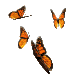 37.gif[5238 ����]