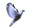 air2.gif[26 ��]